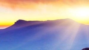 Meet your Posher, Abraham